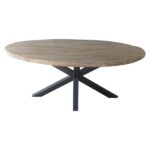 Dining table ‘Oval steel cross legs’ 200x100x79 cm
